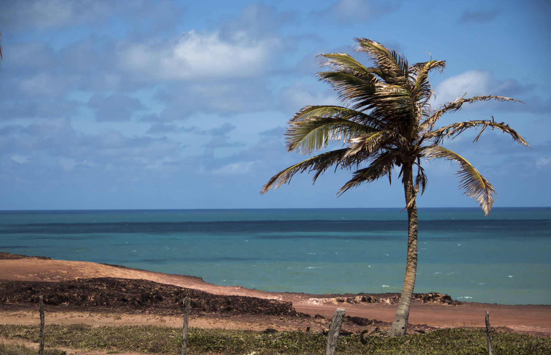 Pacotes para o Réveillon Praia da Pipa