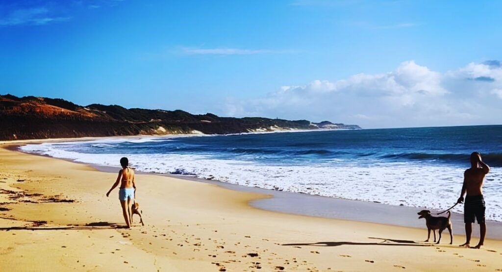 hotéis  cachorro e gatos praia de Pipa