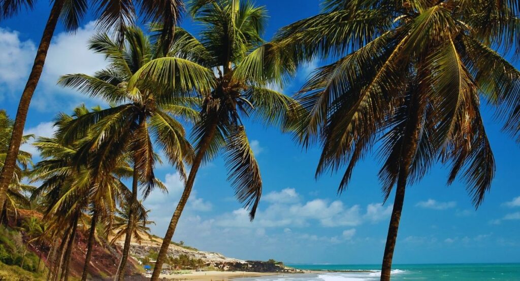 Praia do Giz pipa RN