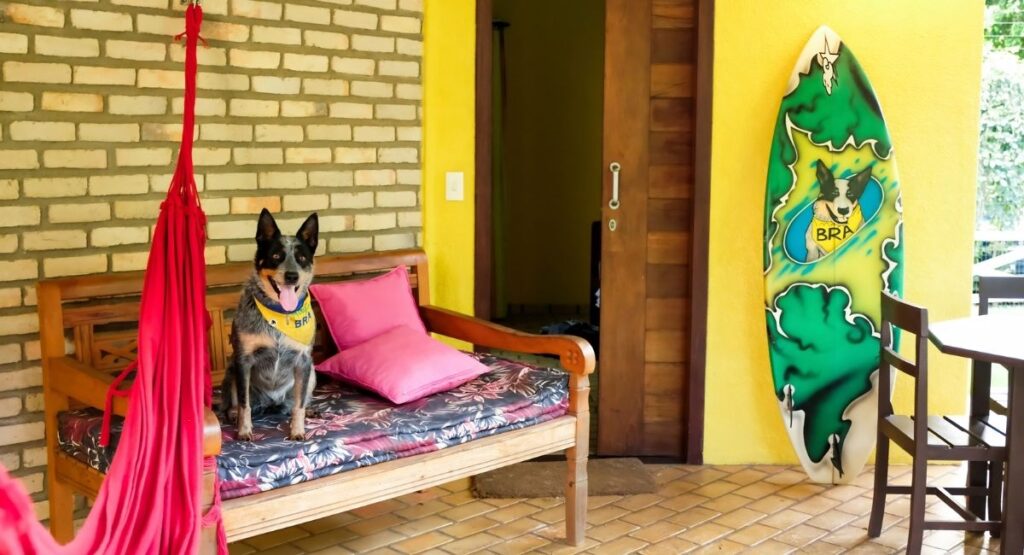 Hotéis e pousadas que aceitam animais de estimação em Pipa RN