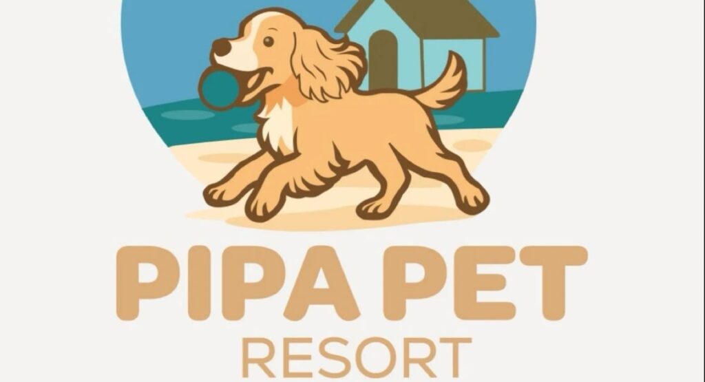 O Destino Pet Friendly em Pipa