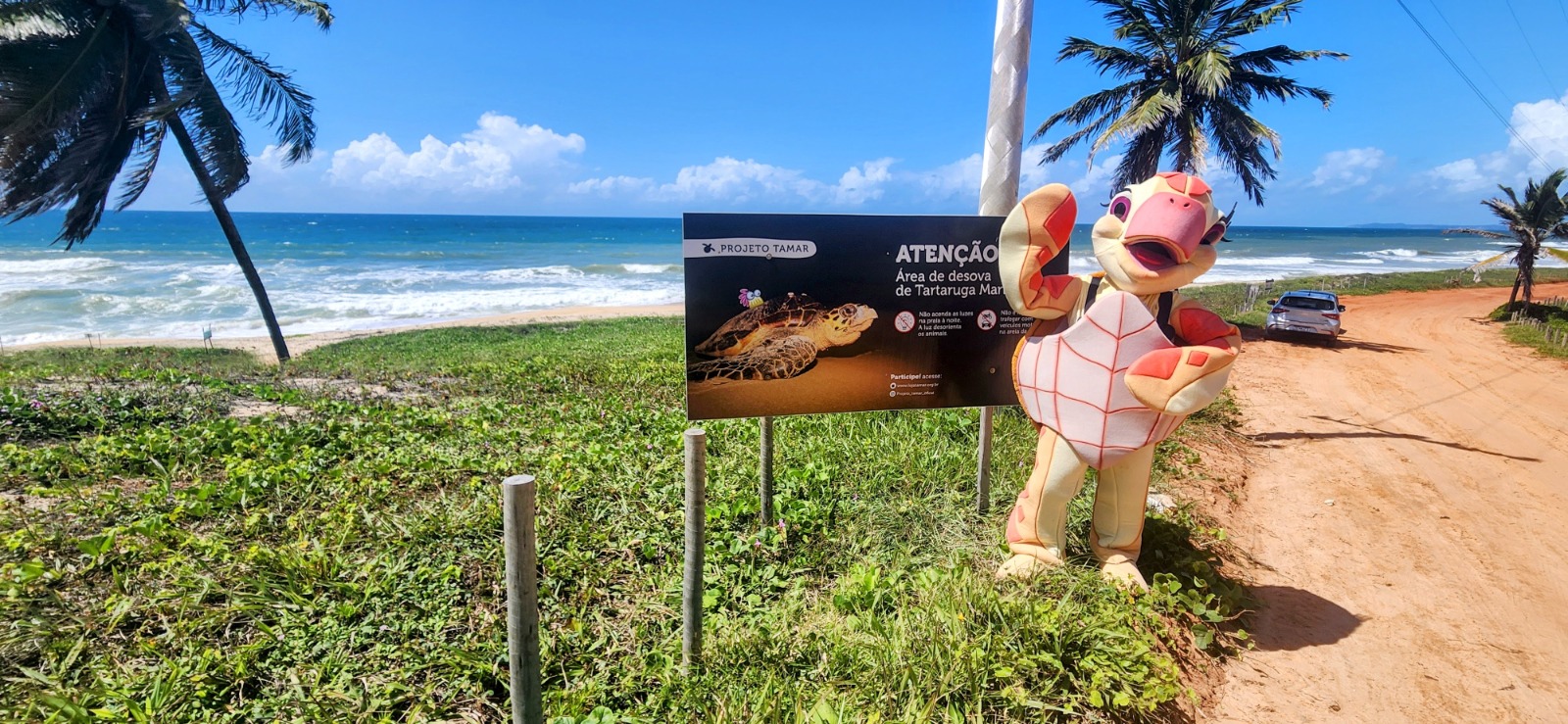 Fundação Projeto TAMAR Abre Temporada De Desova de Tartarugas Marinhas Em Evento Na Praia Da Pipa